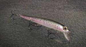 The possession limit for barra on the Daly River has dropped from 5 fish to 3.